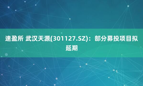 速盈所 武汉天源(301127.SZ)：部分募投项目拟延期