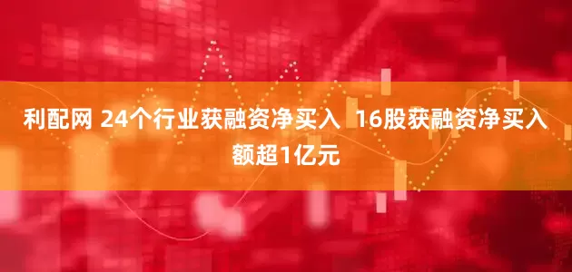 利配网 24个行业获融资净买入  16股获融资净买入额超1亿元