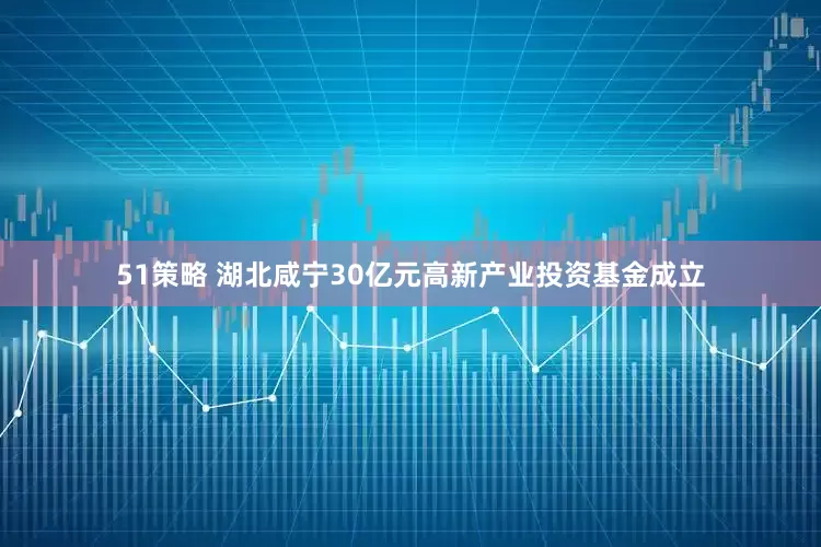 51策略 湖北咸宁30亿元高新产业投资基金成立