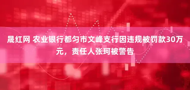 晟红网 农业银行都匀市文峰支行因违规被罚款30万元，责任人张珂被警告