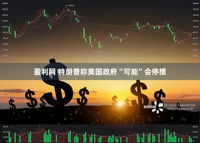 盈利网 特朗普称美国政府“可能”会停摆